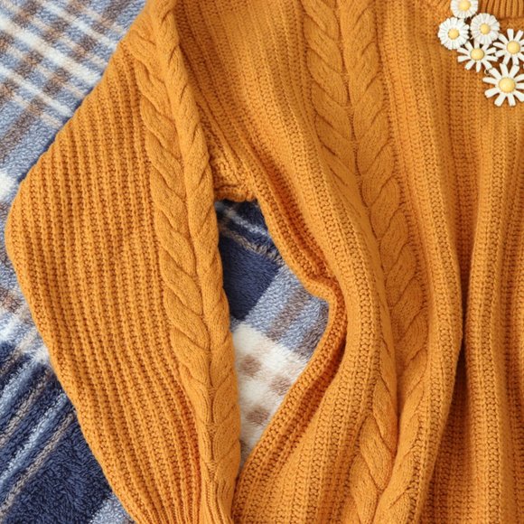 Oversized Chunky Fall Crewneck Sweater - Picture 3 of 15